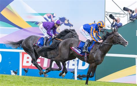 Irish Derby Tips, Runner Guide & Predictions .